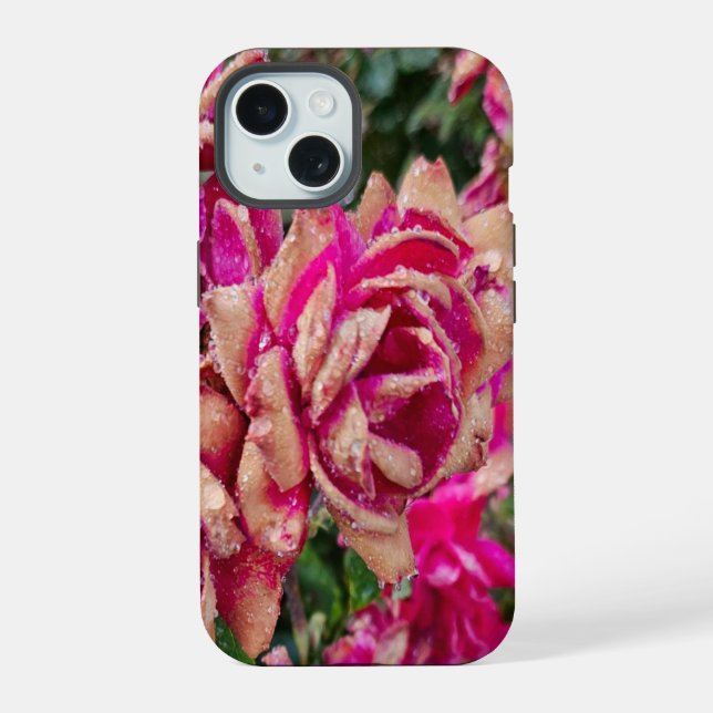 Rosas Antiguas  (Reverso )