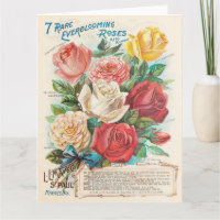 Rosas Antiguas Colorido Ephemera Hermoso Tarjeta d