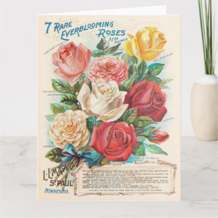 Rosas Antiguas Colorido Ephemera Hermoso Tarjeta d