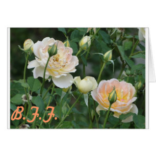 Rosas B.F.F.
