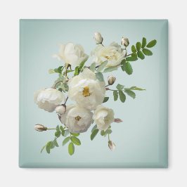 Rosas blancas en imán verde soñador