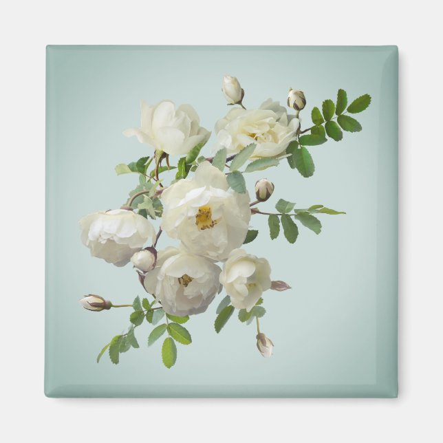 Rosas blancas en imán verde soñador (Frente)