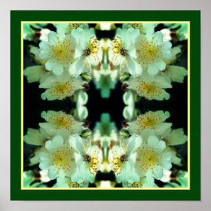 Rosas Blancas Silvestres Trepadoras Arte Floral Ab