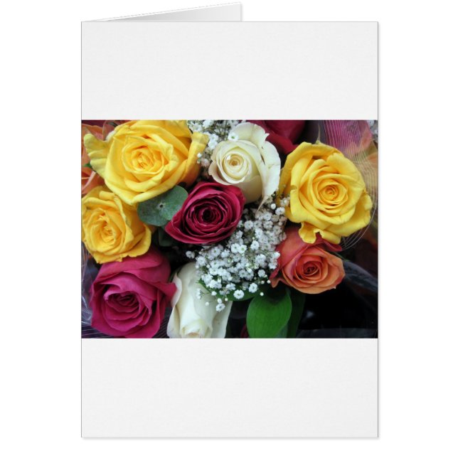 Rosas coloridos (Frente)