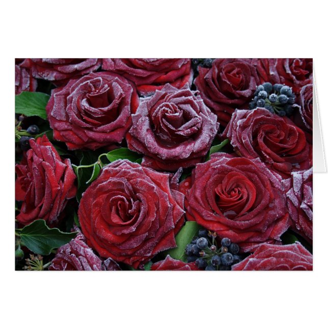 Rosas congelados (Anverso (Horizontal))