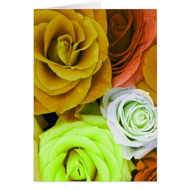 Rosas de colores (Frente)