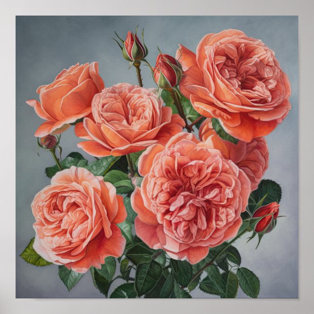 Rosas de coral Poster de impresión de arte floral (Frente)