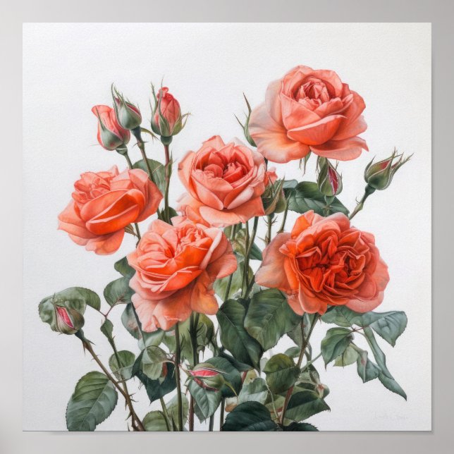 Rosas de coral Poster de impresión de arte floral (Frente)