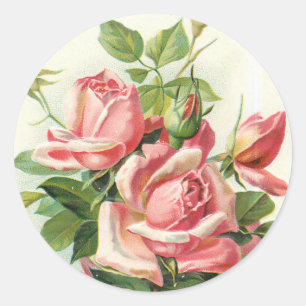 rosas de época en pegatinas rosas