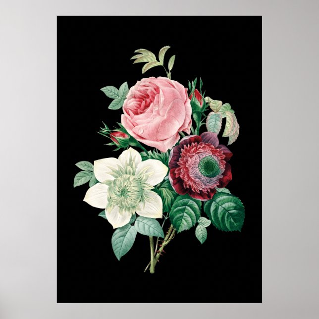 Rosas de fondo negro ramo de impresión Redoute (Frente)