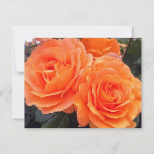 Rosas de mandarina, Tarjeta de felicitación