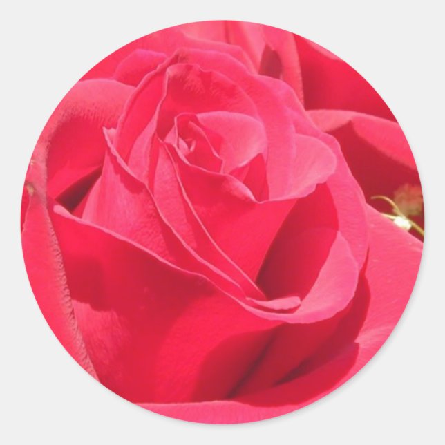 Rosas de Pegatinas y Sellos para sobres (Anverso)