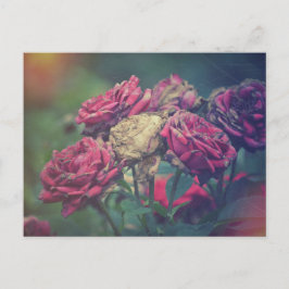 Rosas de postales de ecomera Journal