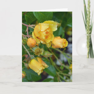 Rosas de primavera amarilla imprimir tarjeta de sa