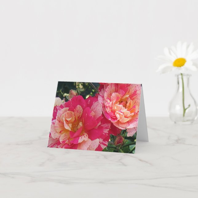 Rosas de rayas blancas rosadas Tarjeta de notas de (Planta pequeña)