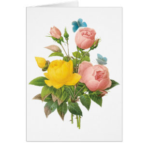 Rosas de té rosa amarillo persa de Redoute