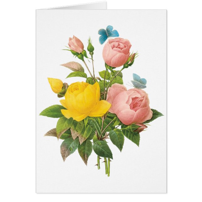 Rosas de té rosa amarillo persa de Redoute (Frente)
