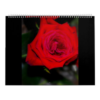 ROSAS del calendario
