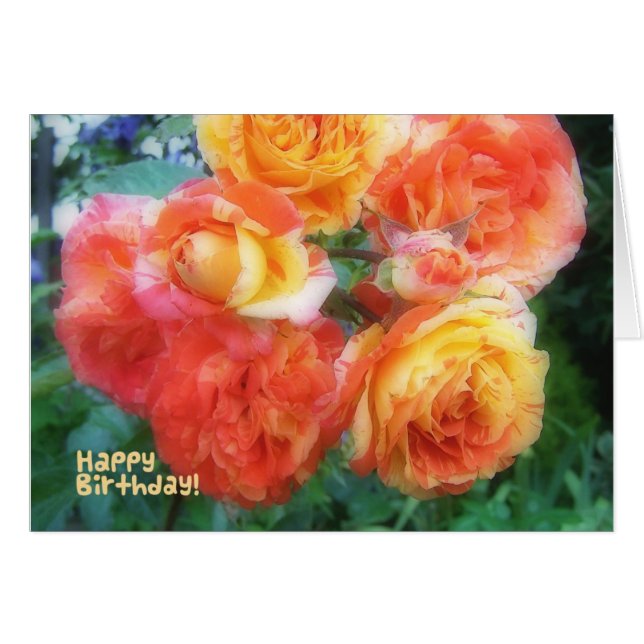 Rosas del cumpleaños feliz (Anverso (Horizontal))