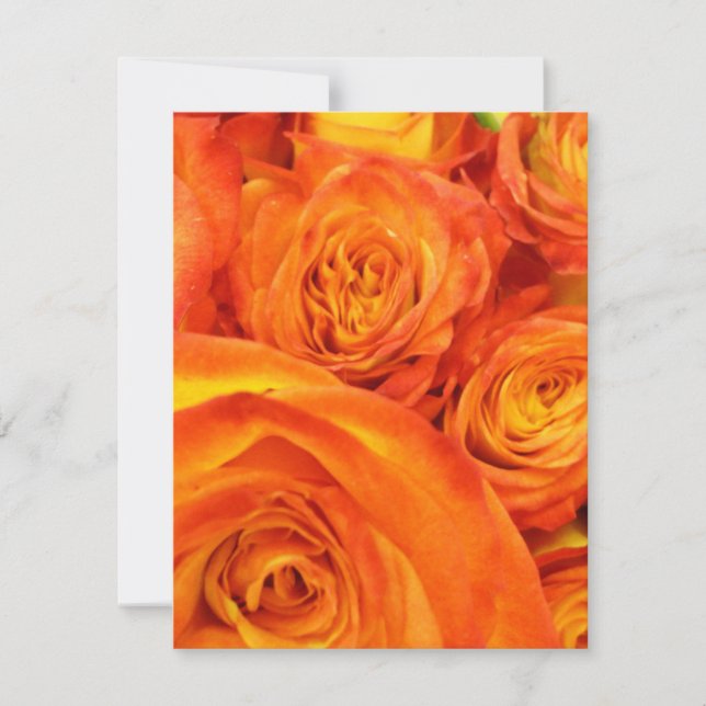 Rosas del Naranja de incendios (Anverso)