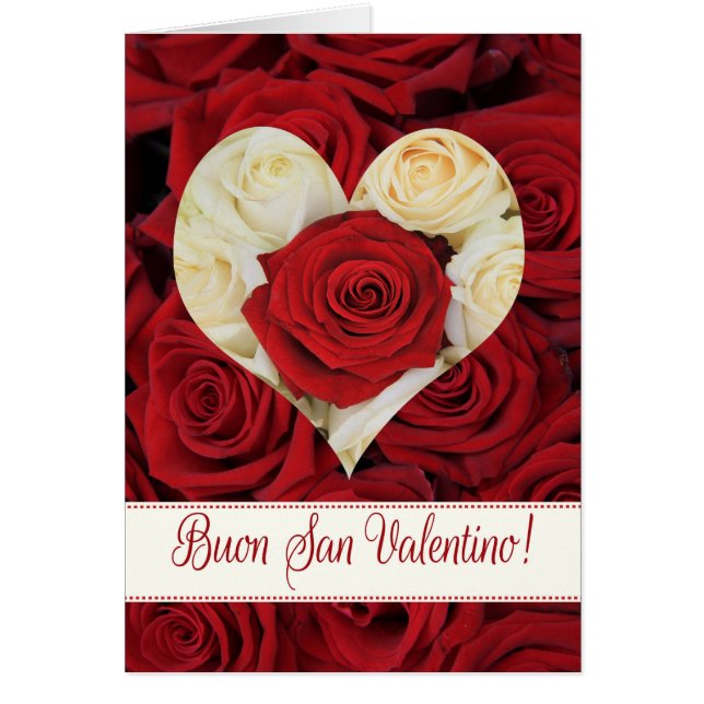 Rosas El día de San Valentín de Italia (Frente)