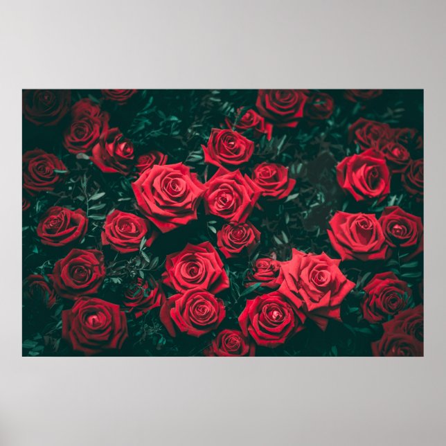 Rosas elegantes en arte en flor | POSTER (Frente)