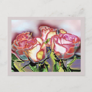 Rosas En Diciembre, Postal