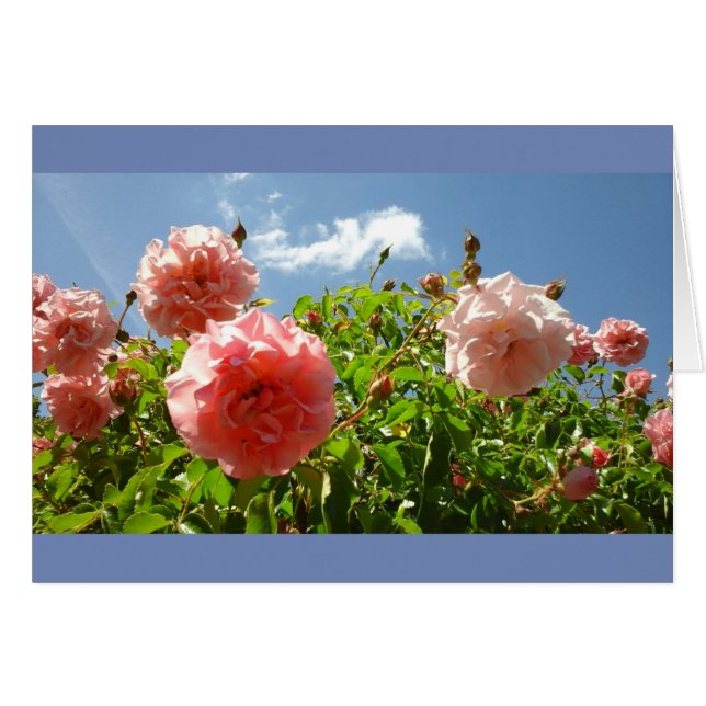 Rosas en el jardín de Monet (Anverso (Horizontal))