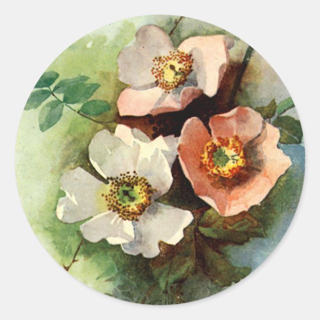 Rosas en el Vine - Pegatina (Anverso)