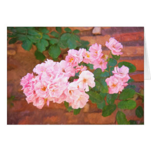 Rosas en Flor en Roma, Italia Interior en Blanco