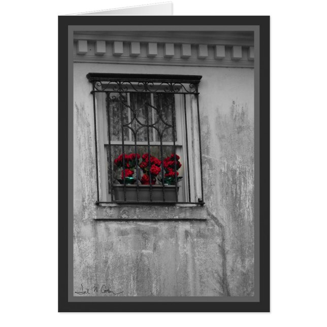 Rosas en ventana (Frente)