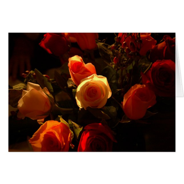 Rosas I - Naranja, carmesí y gloria del oro (Anverso (Horizontal))