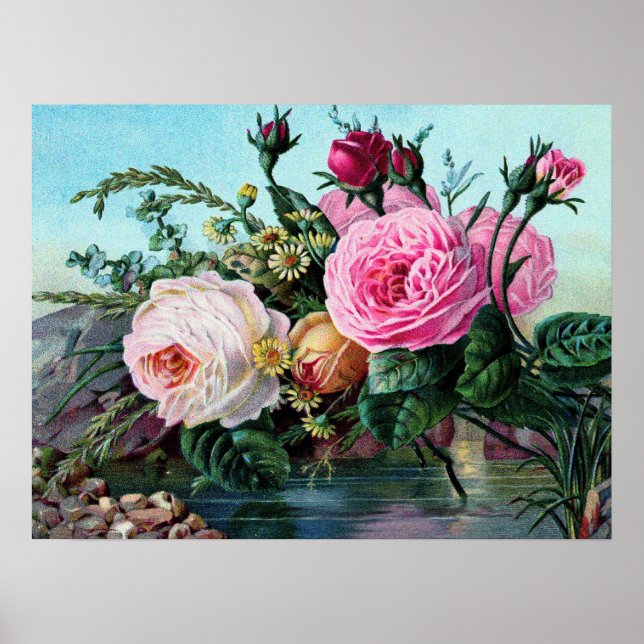 Rosas ingleses vintage impresión floral Shabby Chi (Frente)