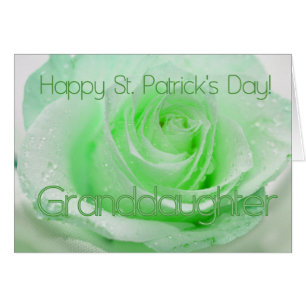 rosas irlandeses de la nieta St. Patrick