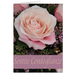 Rosas italianos de simpatía - sentidos condoglianz
