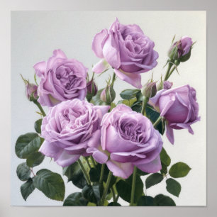 Rosas Lavender Poster de impresión de arte florido