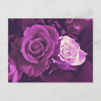 Rosas malvados en una postal en flor