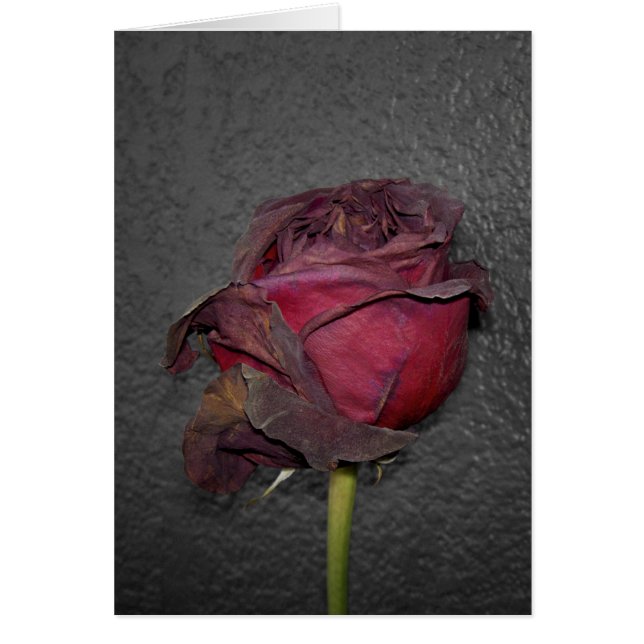 Rosas muertos (Frente)