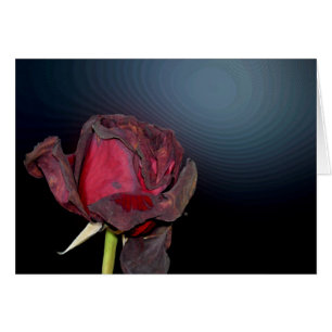 Rosas muertos 1