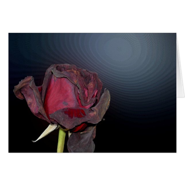 Rosas muertos 1 (Anverso (Horizontal))