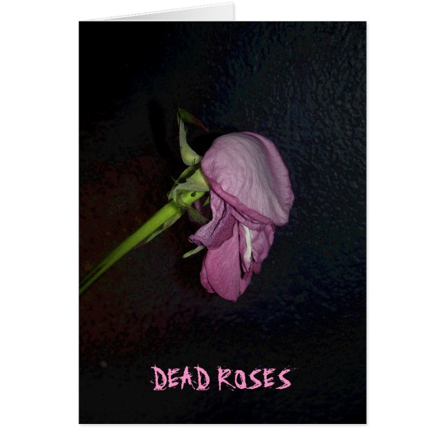 Rosas muertos: La floración está del flor, bebé (Frente)