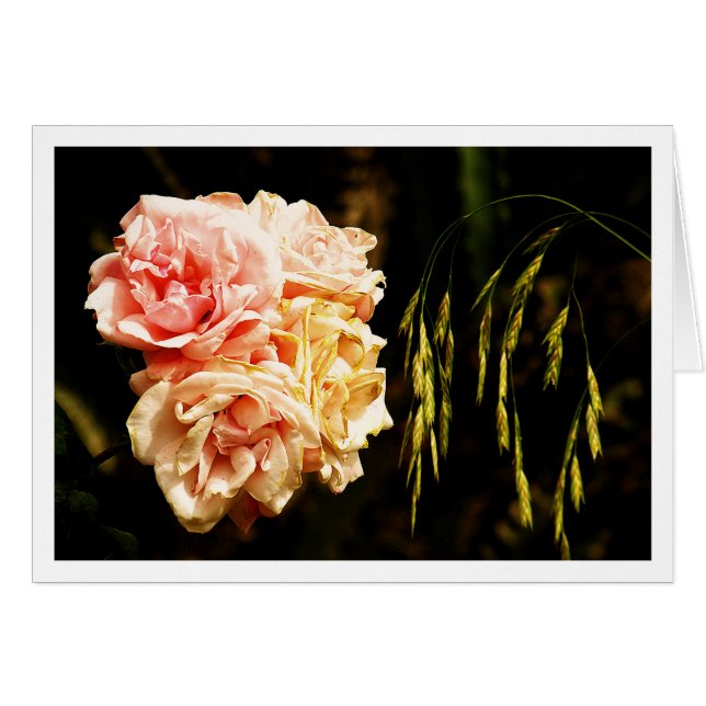 Rosas para ti (Anverso (Horizontal))