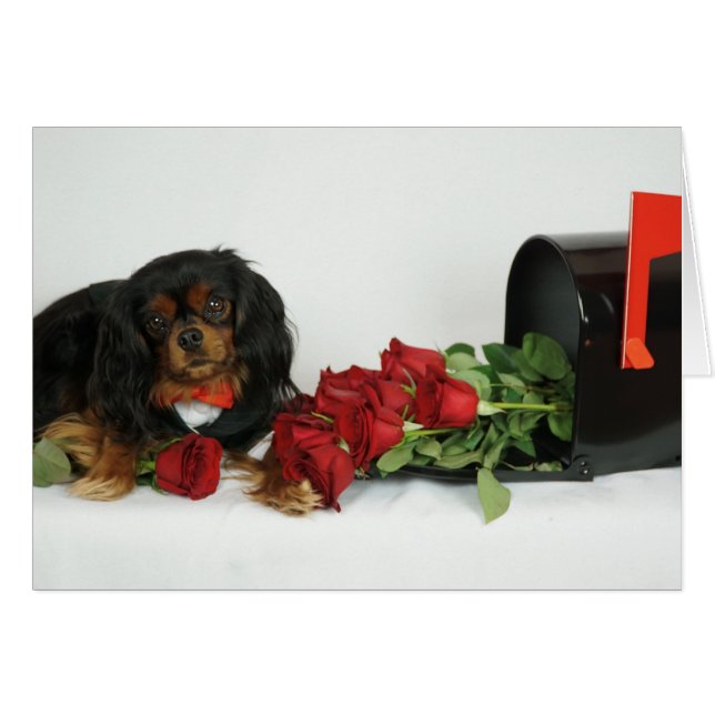 Rosas para usted (Anverso (Horizontal))