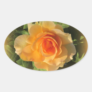 Rosas Pegatinas de Honey Perfume