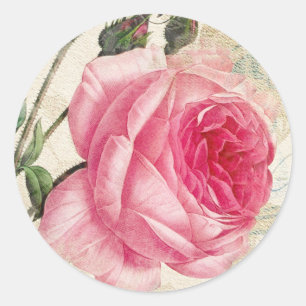 Rosas Pegatinas rosados