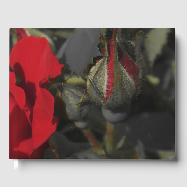 rosas rojas en el libro de visitas de Bodas negros (Anverso)