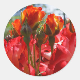 Rosas Rojas pegatinas personalizadas Sellos de sob