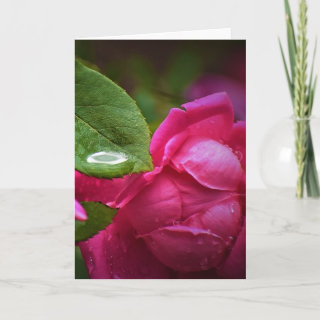 Rosas rojas y gotas de lluvia, tarjeta (Anverso)