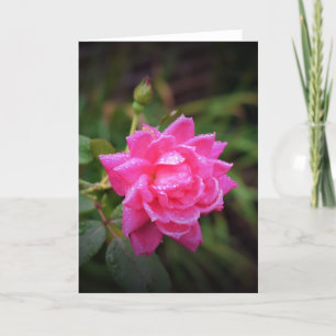 Rosas rojas y gotas de lluvia, tarjeta