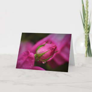 Rosas rojas y gotas de lluvia, tarjeta